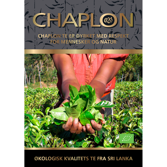 Hva skjer med Chaplon-teene – og hvorfor forsvinner øko-merket?