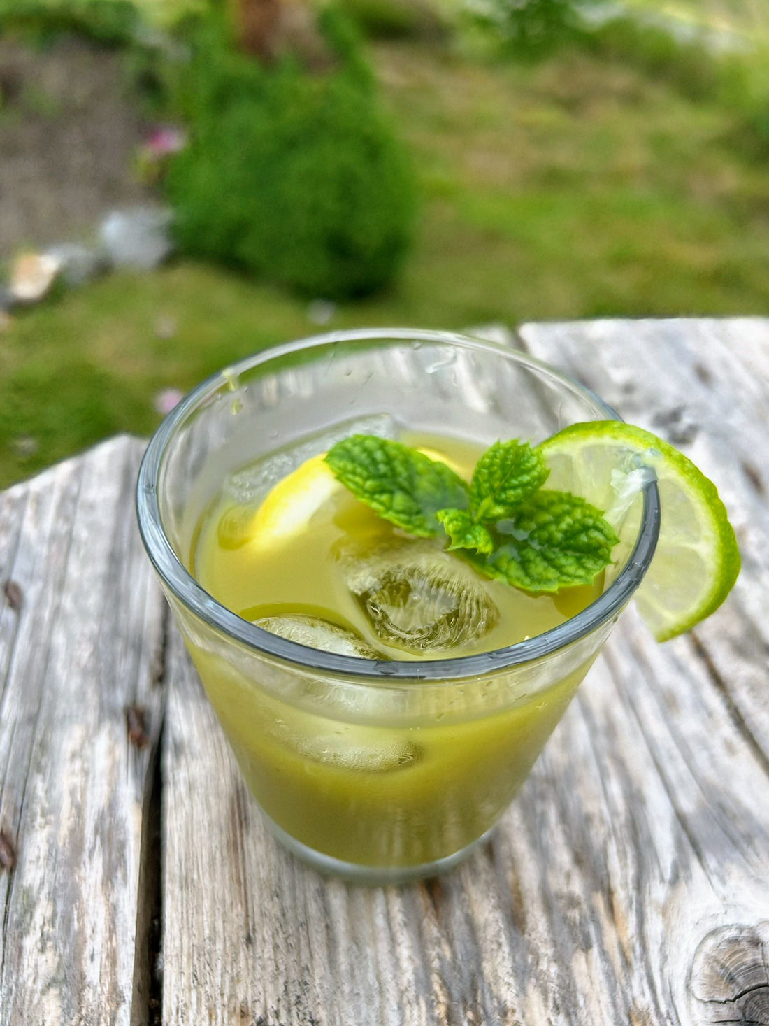 Matcha & Mynte Iste (1 liter)
