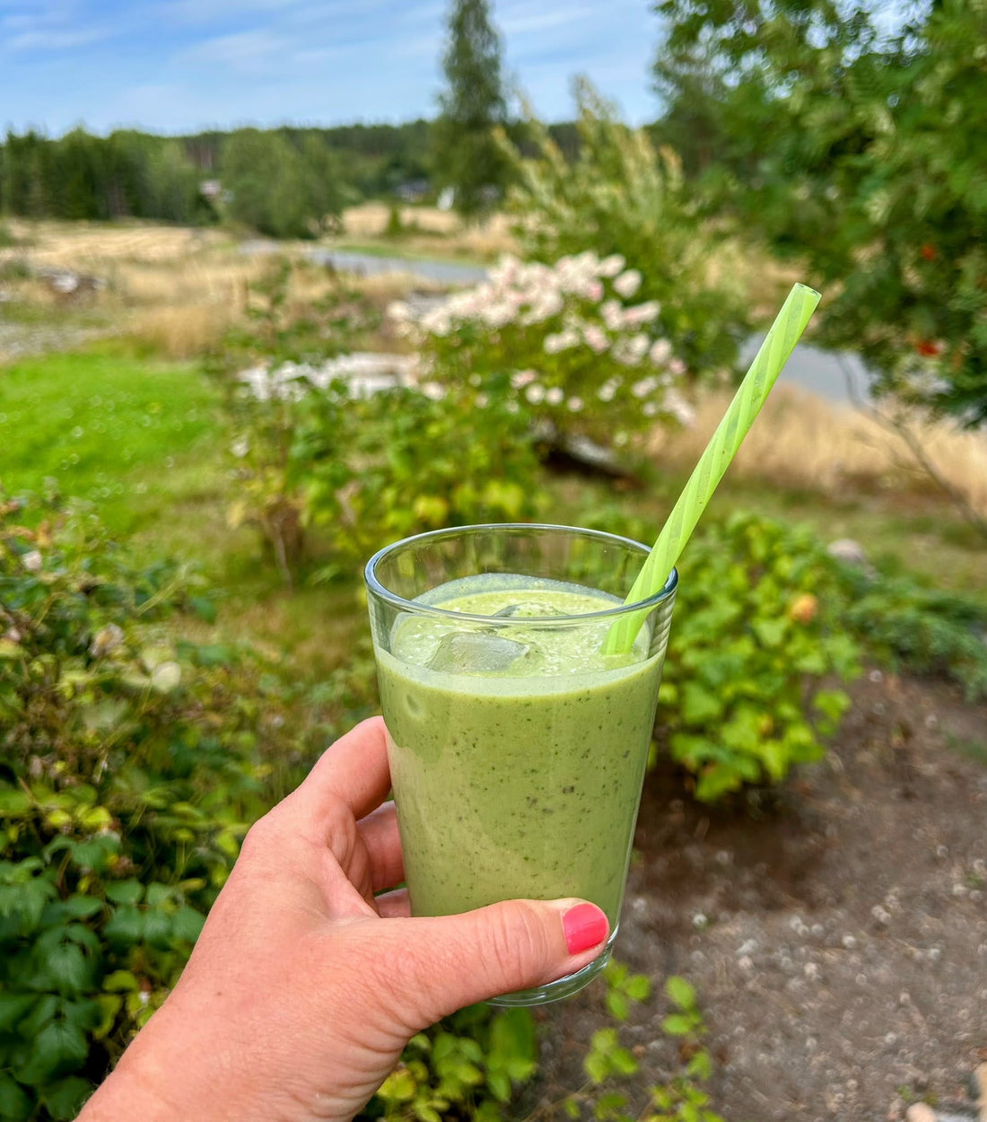 Grønn medjool-smoothie med matcha